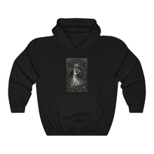 Charger l'image dans la galerie, Unisex Hooded Top Fallen Angel