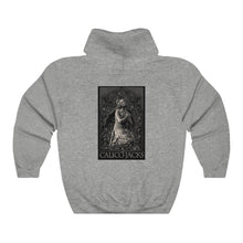 Charger l'image dans la galerie, Unisex Hooded Top Fallen Angel